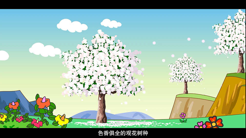 上海市环境学校 白玉兰